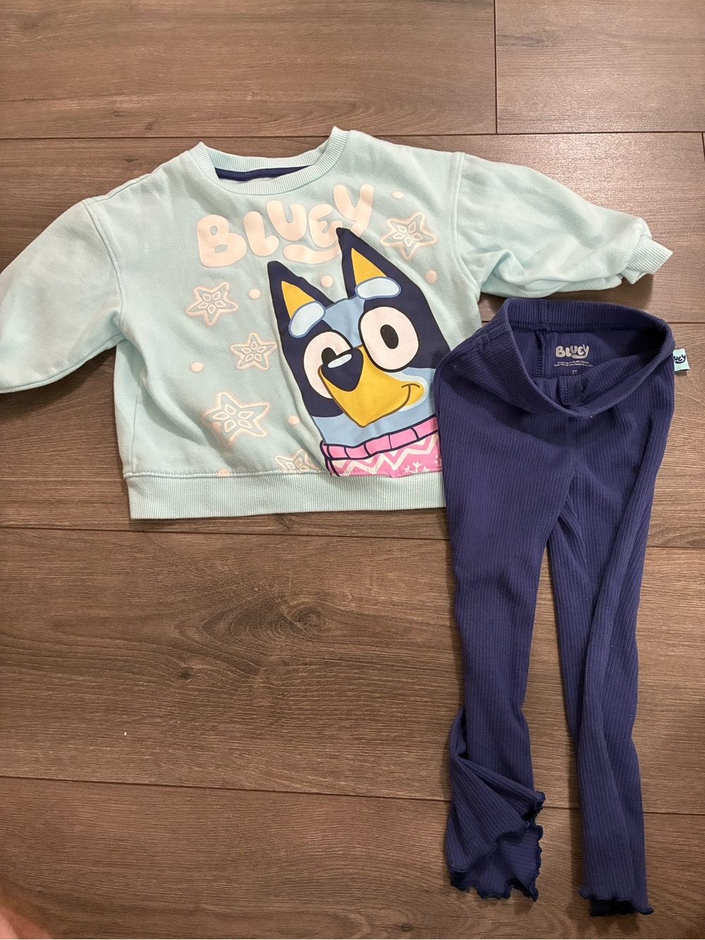 Bluey girls sweater and leggings